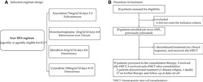 High efficacy of azacitidine combined with homoharringtonine, idarubicin, and cytarabine in newly diagnosed patients with AML: A single arm, phase 2 trial